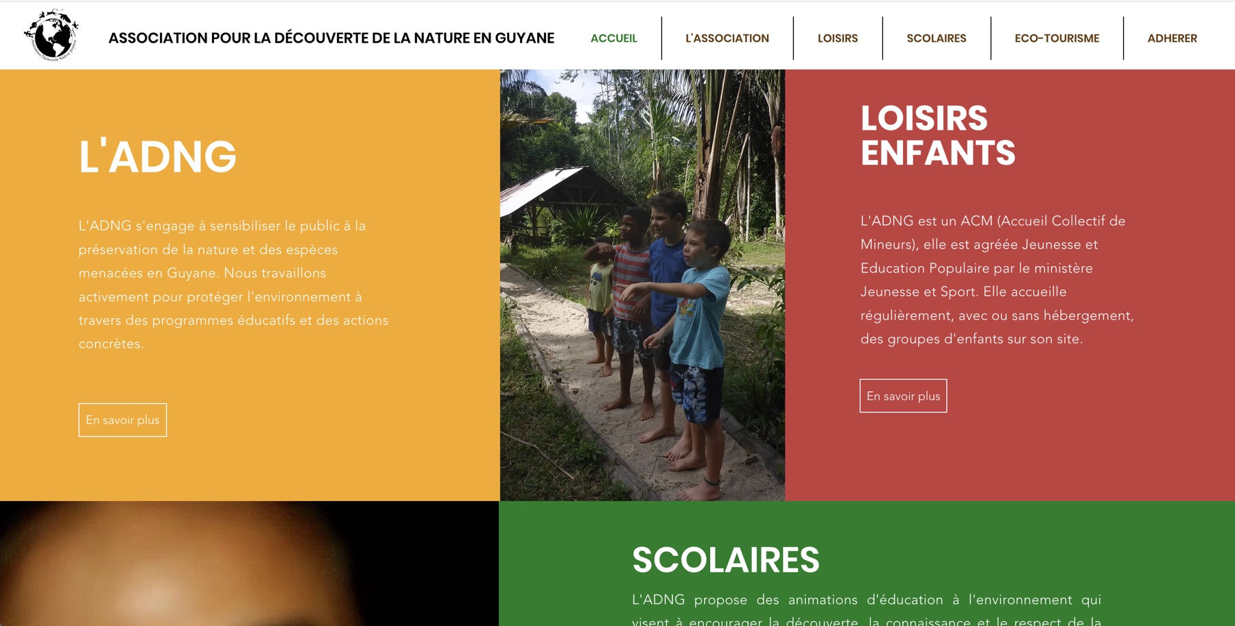 ADNG website homepage